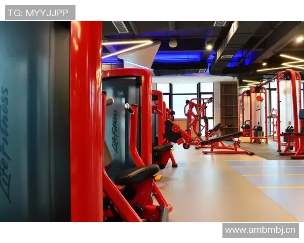 广州进口健身器材市场行情及热门品牌推荐