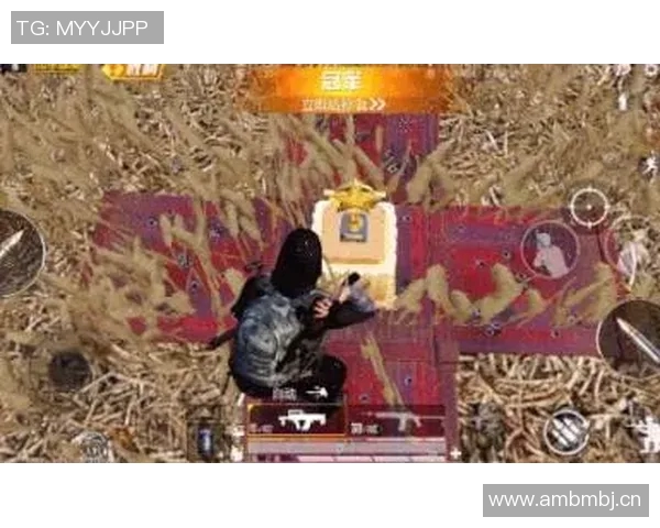 科学与和平精英的力量训练方法探究与实践指南